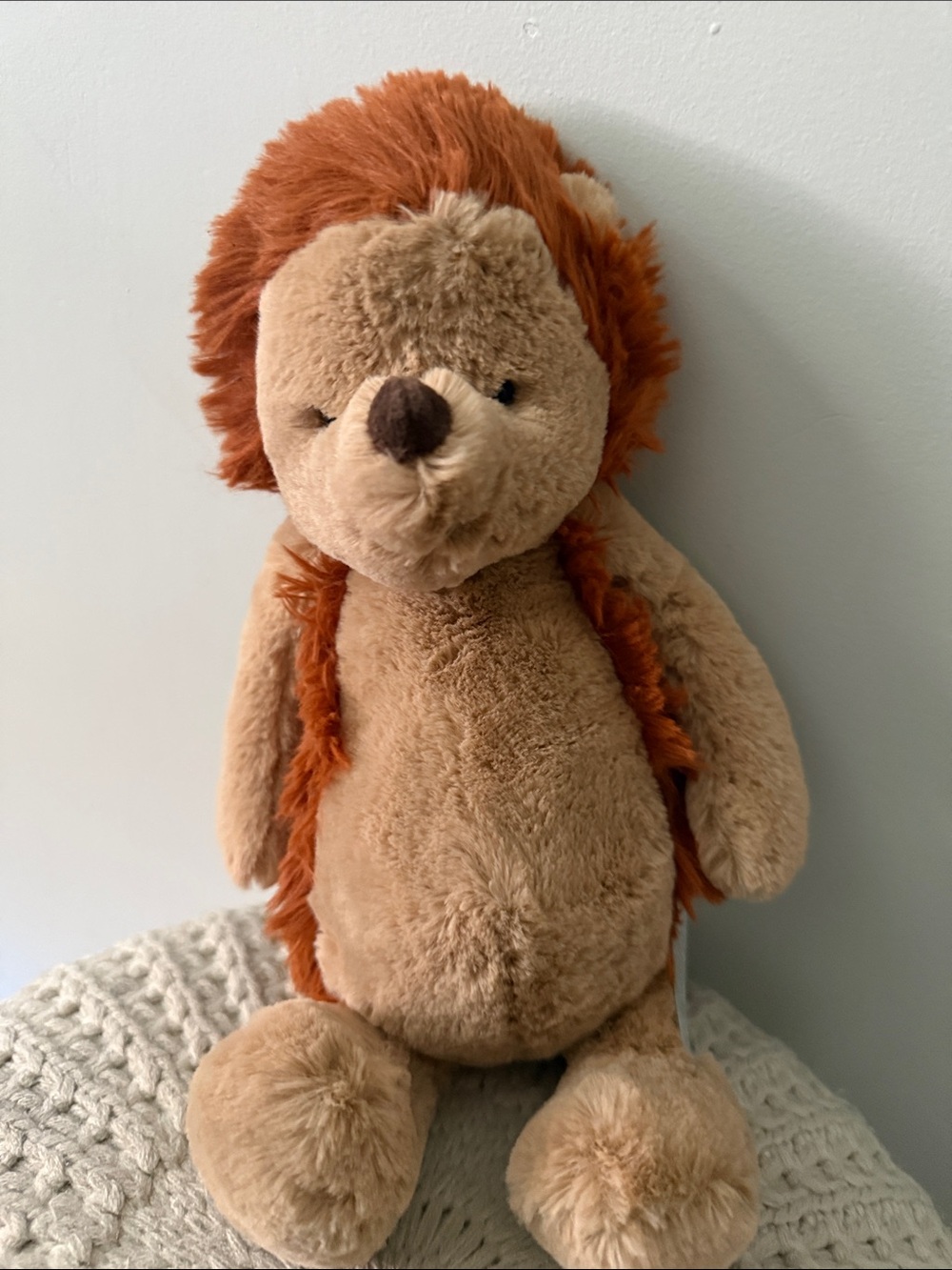 Medium Bashful Hedgehog *retired